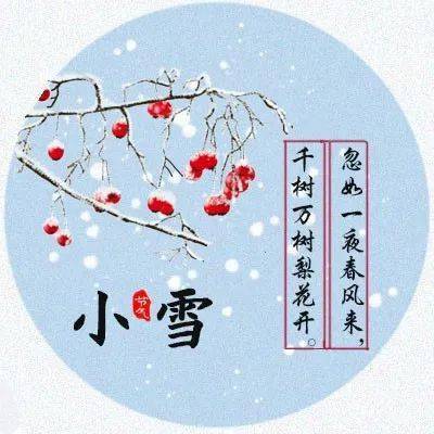天降祥瑞小雪飘,一亩良田四十颗指是猜一最佳准确生肖、警惕虚假宣传-全面释义、实时解答解释落实