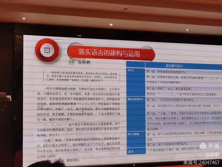 胆小如鼠打一准确生肖警惕虚假宣传、全面解答与解释、构建解答解释落实