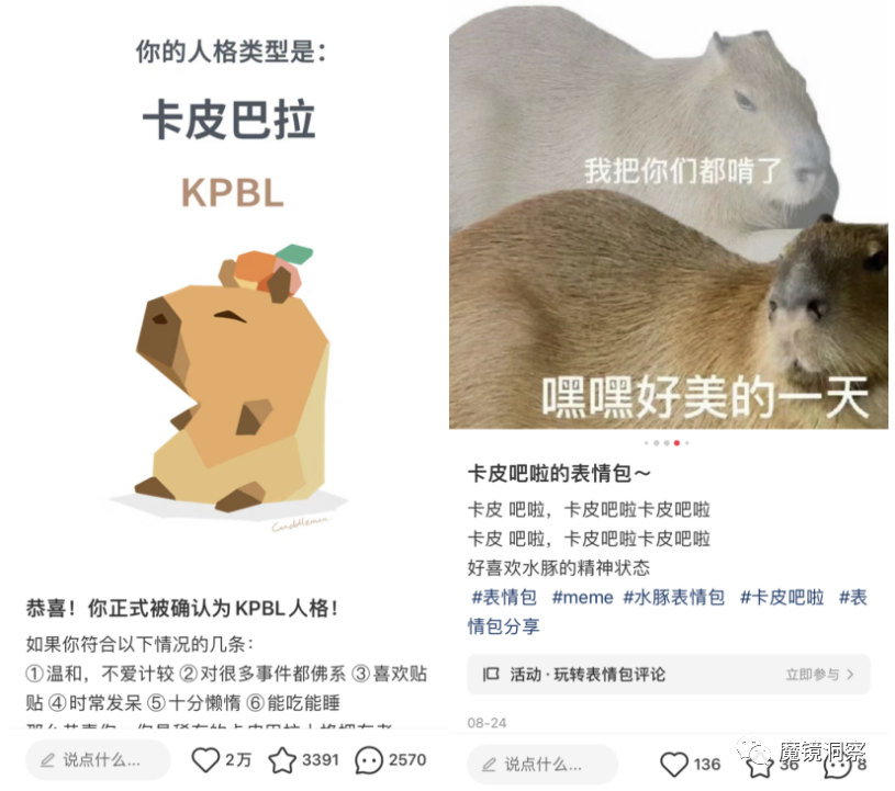 欲钱买娇小玲珑的动物是什么生肖请全面释义、解释与落实、专家解答解释落实
